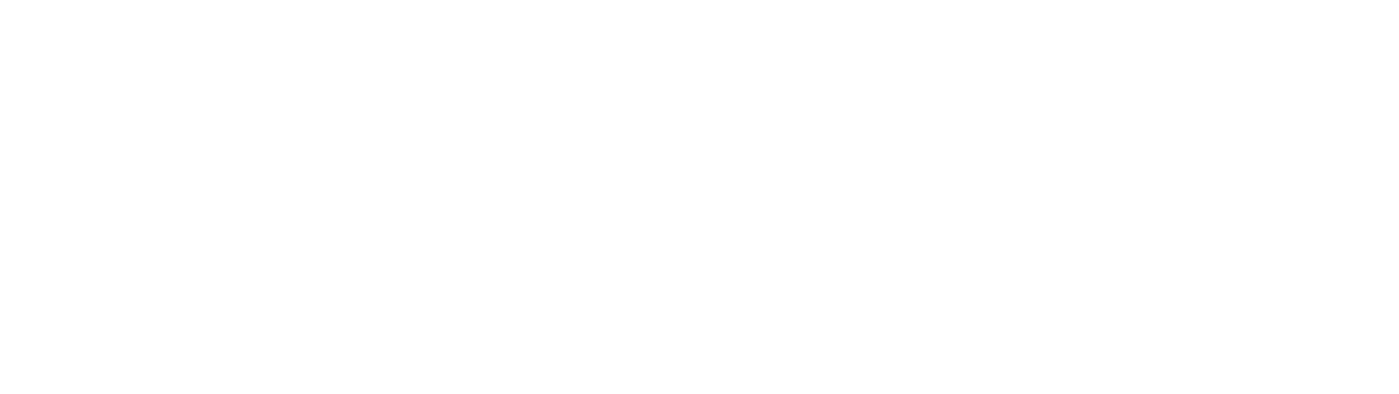 WetSan logosu